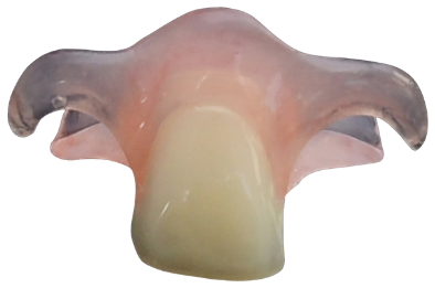 Flexi Flipper